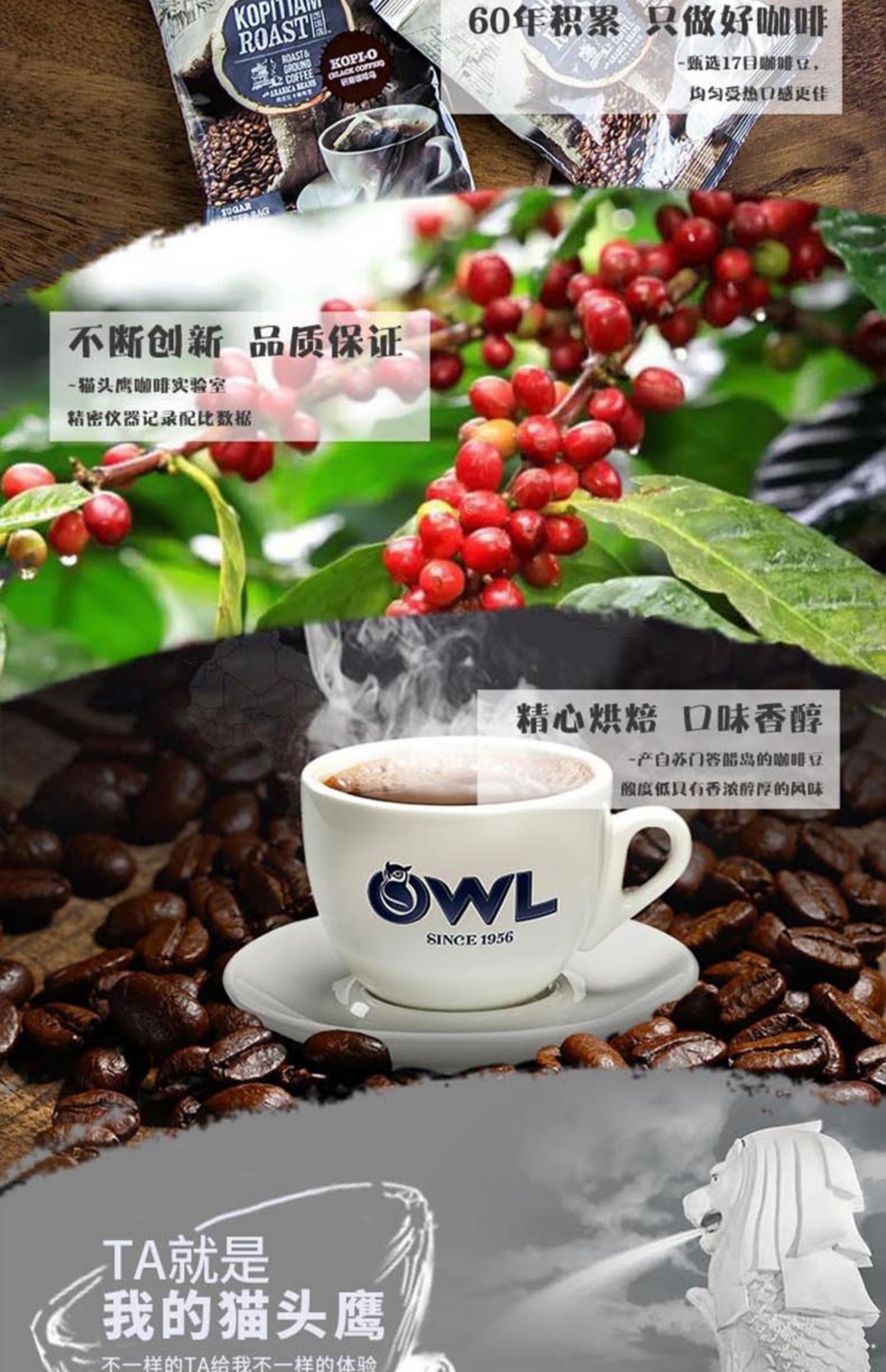 owl猫头鹰研磨咖啡速溶咖啡