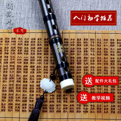 Flute Dugu Nine Flute Beginner Min Zizhu Ancient Style National Musical Instrument