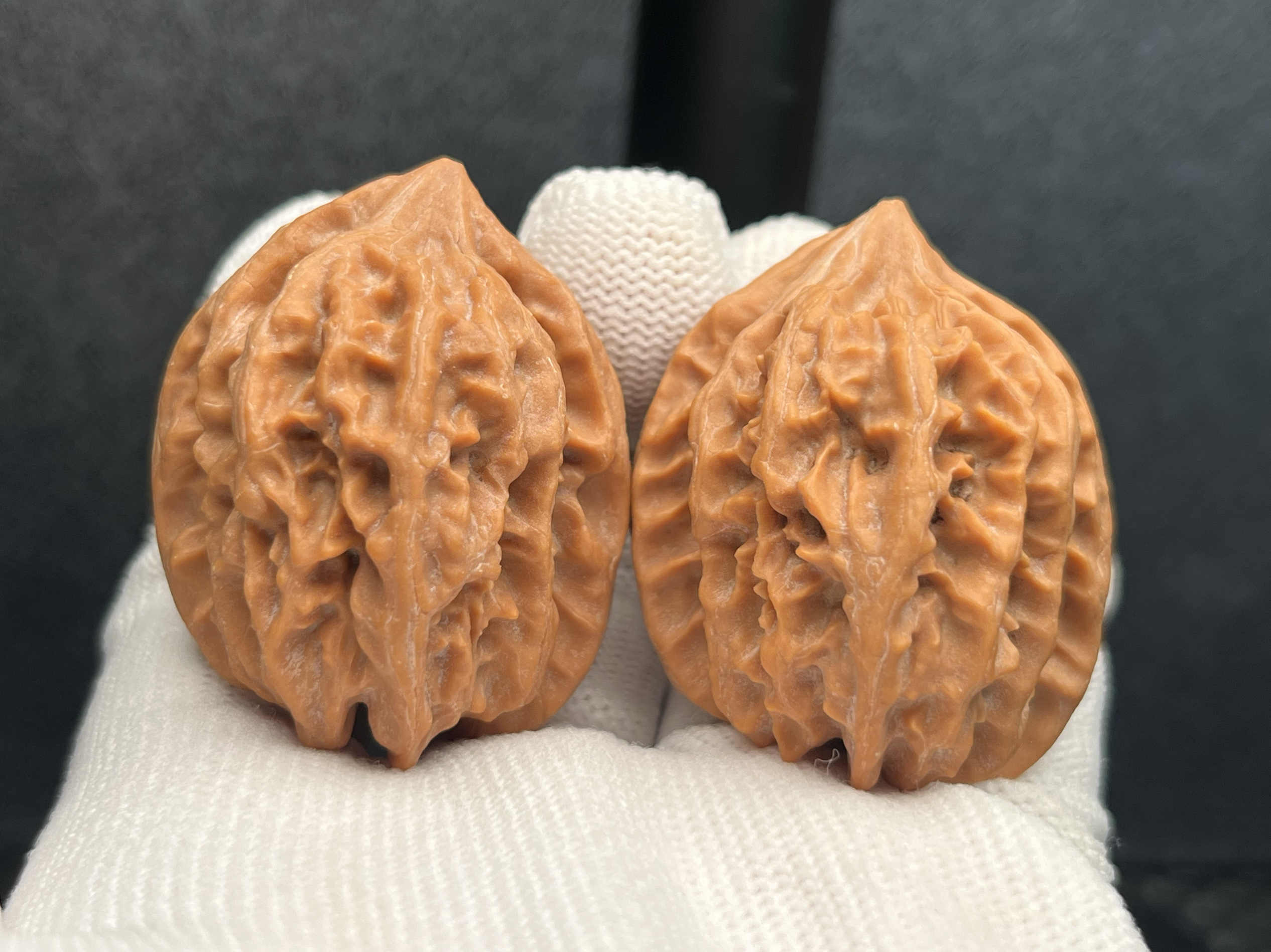 cao dragon Latest Best Selling Praise Recommendation | Taobao