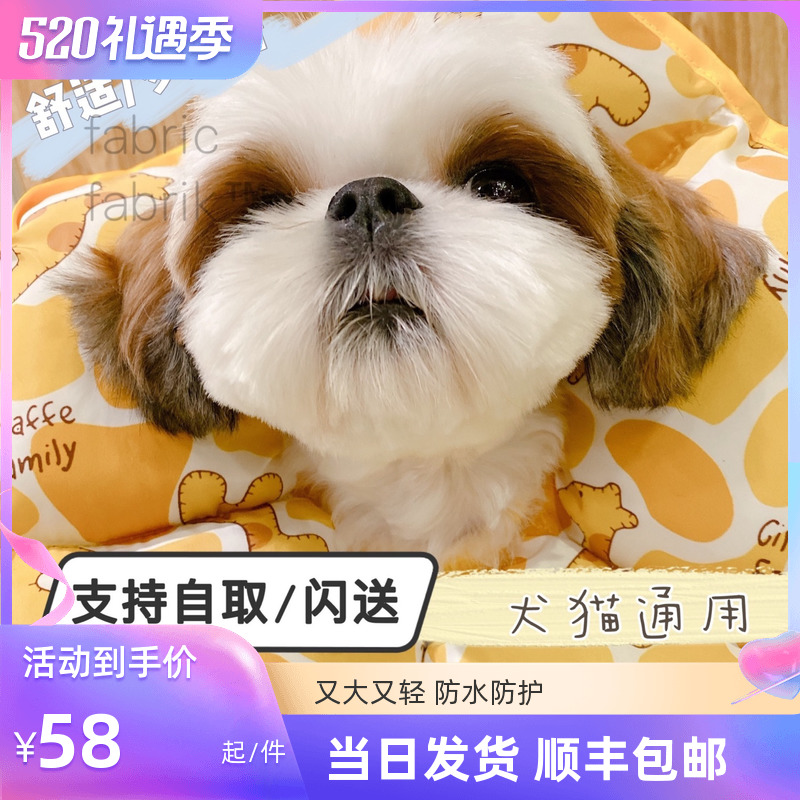 Pet Elizabeth Circle kitty Dog headgear Neck Circle Neuter anti-licking anti-licking postoperative cute soft ring increased