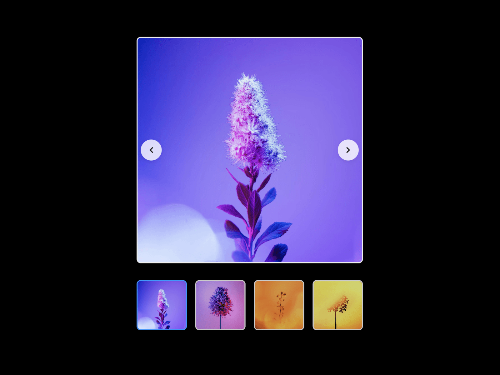 Framer中文网免费组件模板、Framer组件、Framer模板、Framer教程、Framer汉化