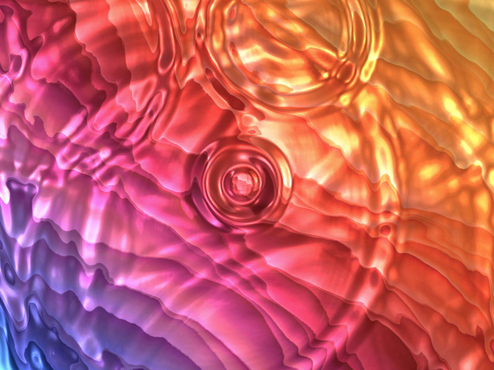 Framer中文网免费组件模板、Framer组件、Framer模板、Framer教程、Framer汉化