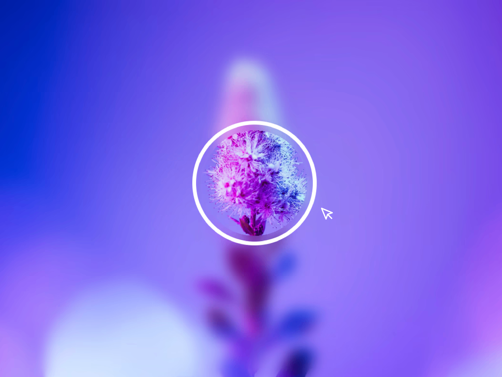 Framer中文网免费组件模板、Framer组件、Framer模板、Framer教程、Framer汉化