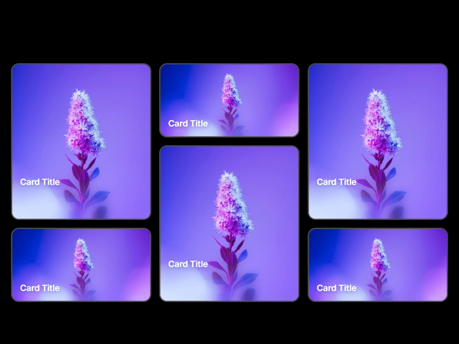 Framer中文网免费组件模板、Framer组件、Framer模板、Framer教程、Framer汉化