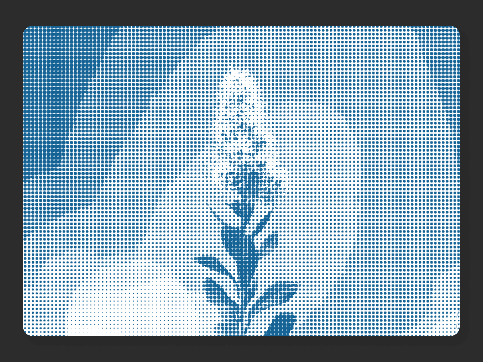 Framer中文网免费组件模板、Framer组件、Framer模板、Framer教程、Framer汉化