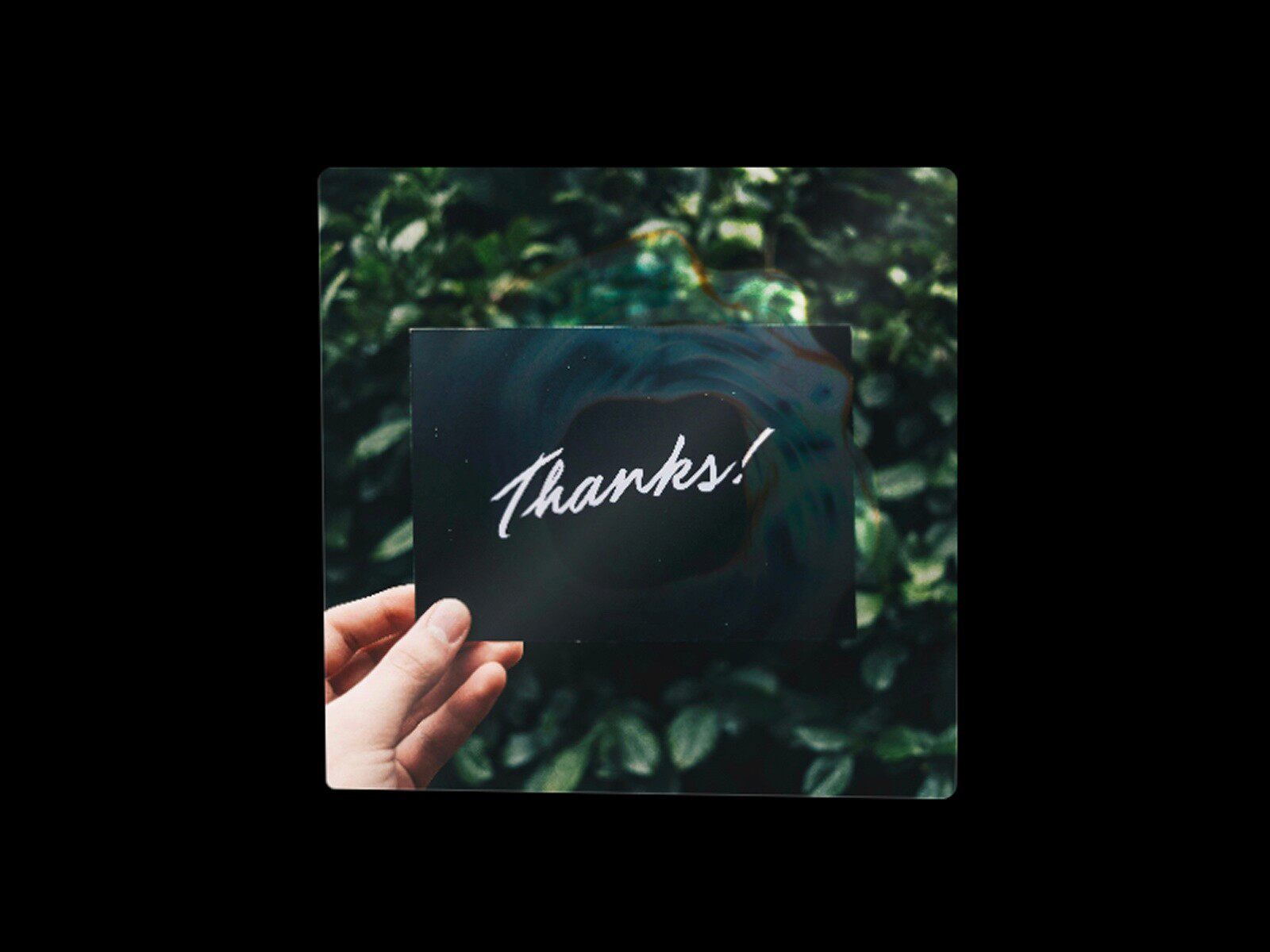 Framer中文网免费组件模板、Framer组件、Framer模板、Framer教程、Framer汉化