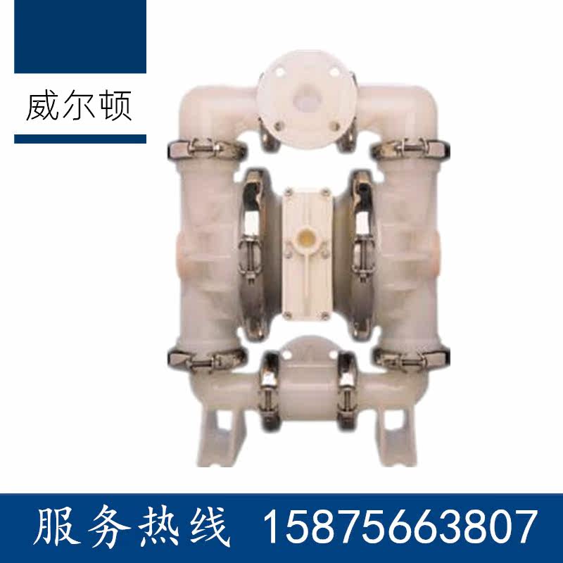 Wilton Pneumatic diaphragm pump P4 200 8 TZ1 2 reciprocating water pump diaphragm ball valve accessories