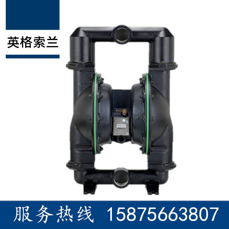 Ingersoll 666170-344-C pneumatic diaphragm pump 666171-244-C volume pump 666170-3EB-C