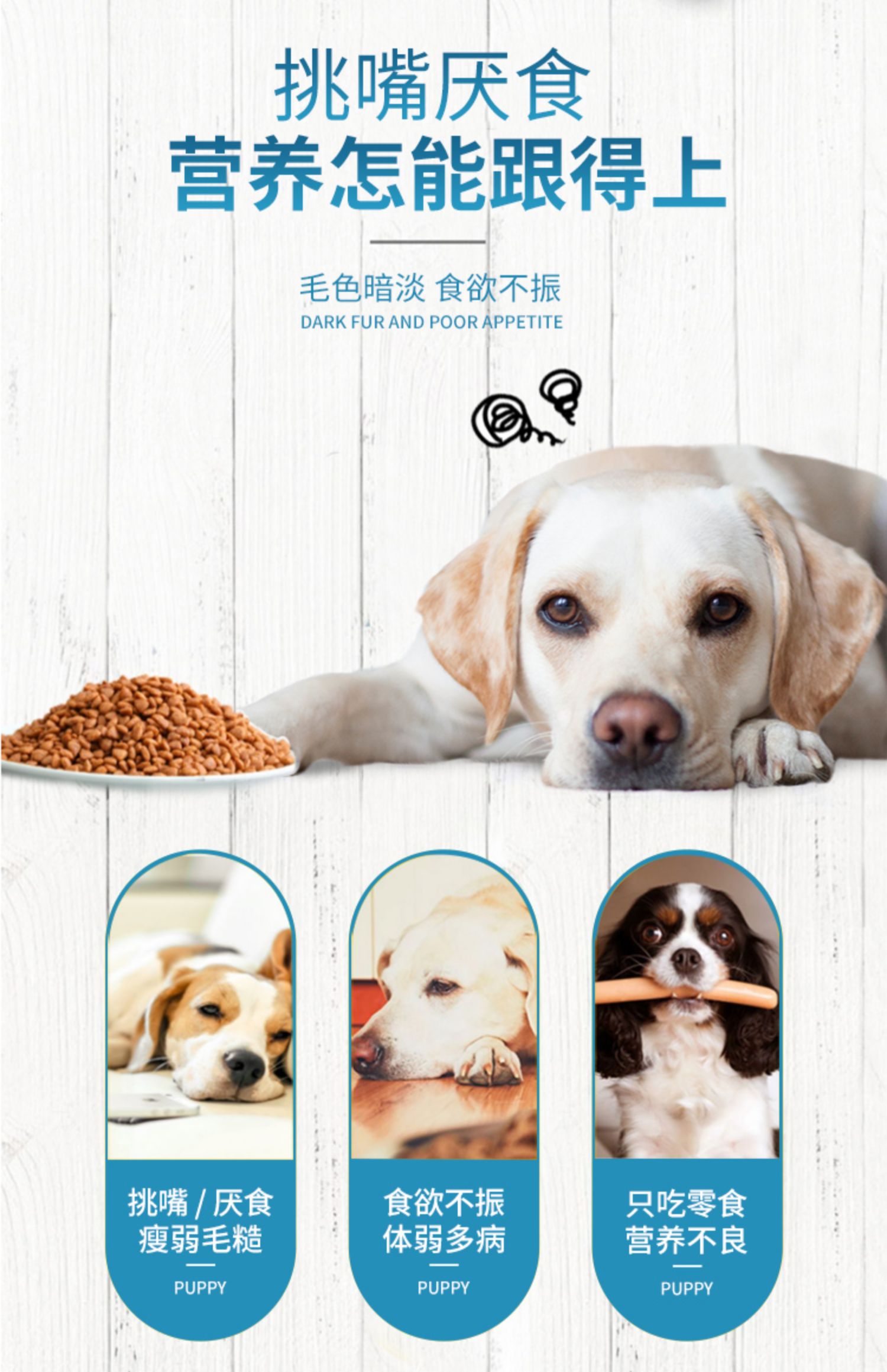 Vanke Labrador thức ăn cho chó đặc biệt 40 kg nạp vào chó con Golden Retriever phổ biến gấp đôi bánh sữa 20kg - Chó Staples đồ ăn chó
