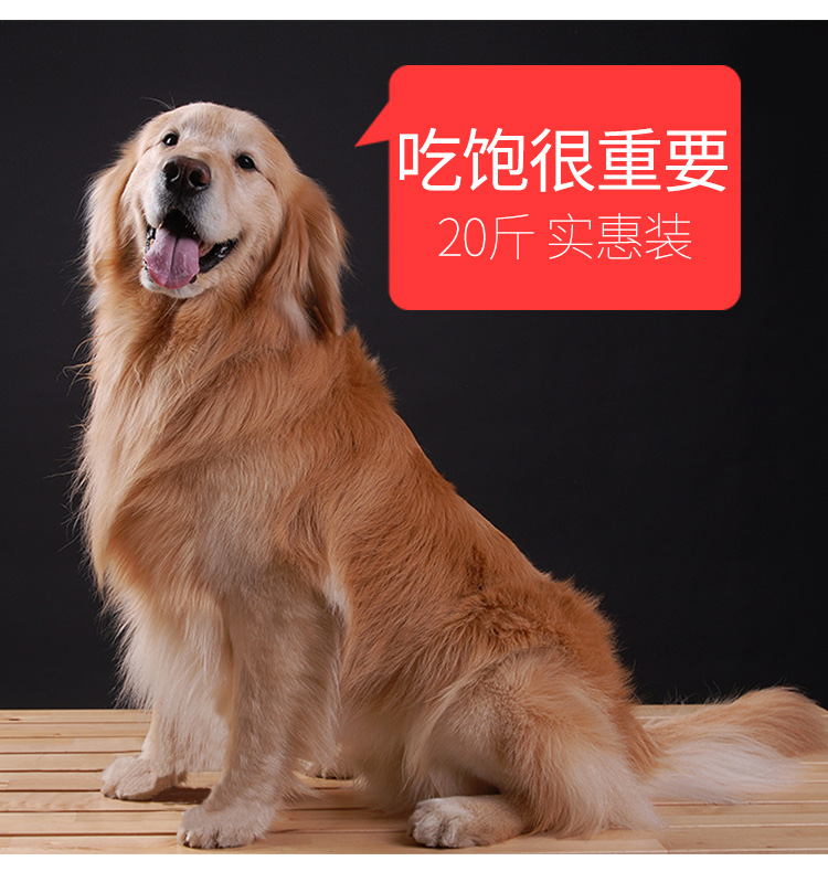 Thức ăn cho chó Odin 10kg chó con phổ quát Teddy VIP Golden Retriever Husky Satsuma Bear thức ăn tự nhiên cho chó 20 kg - Chó Staples đồ ăn cho chó con