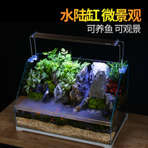 Sensen water and land cylinder micro landscape ecological cylinder oblique mouth super white cylinder plant landscape skeleton atomization rainforest cylinder