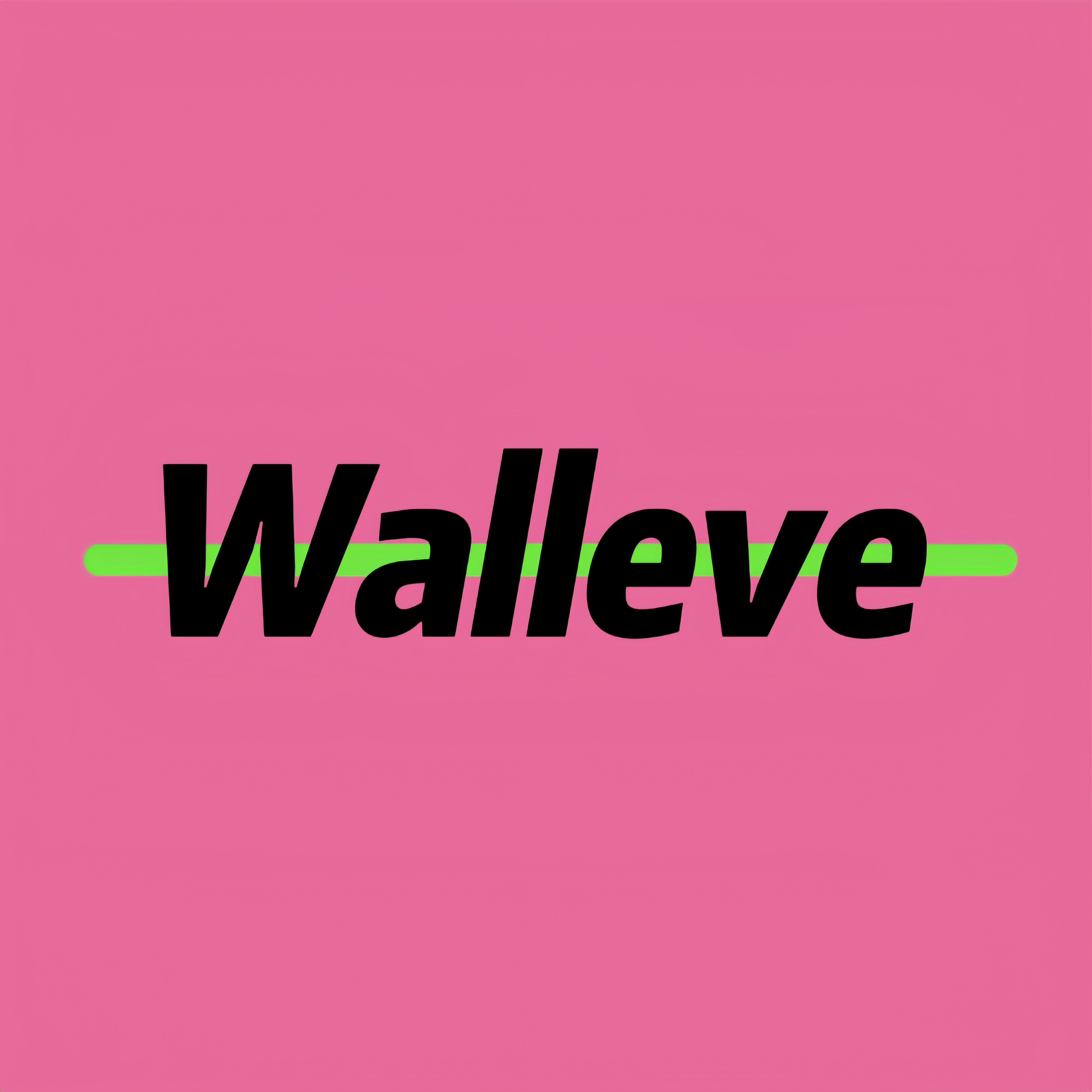 瓦了walleve buyer集合店