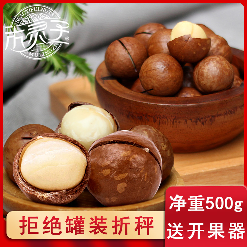New Xinjiang specialty big macadamia nuts original creamy nuts pregnant women snacks to send fruit opener 500g
