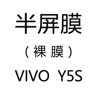 光色 VIVO Y5S 裸膜