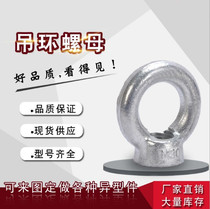 Galvanized hanging mother ring nut Ring nut Lug ring nut M6 M8 M10 M12 M14M20