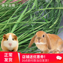 Drying North Titi Moses pasture hay new grass pet rabbit chinchat guinea pig geranium grass feed