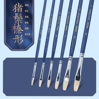 Visual Series/Citizen Hazel -форма 6 наборов