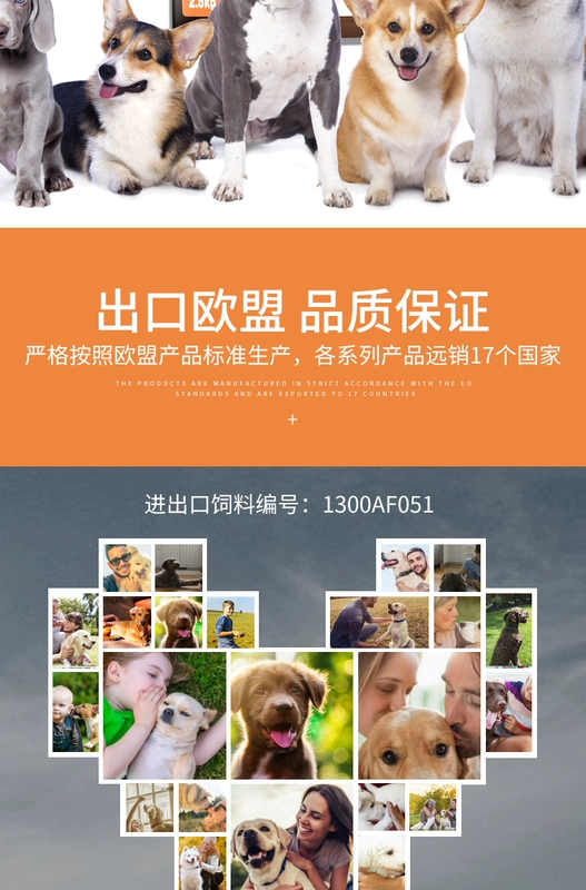 Ohenjoy mutton đôi chiến đấu không có thức ăn cho chó hạt chung loại Teddy VIP Golden Retriever chó con cỡ lớn và trung bình chó trưởng thành 5 kg - Chó Staples
