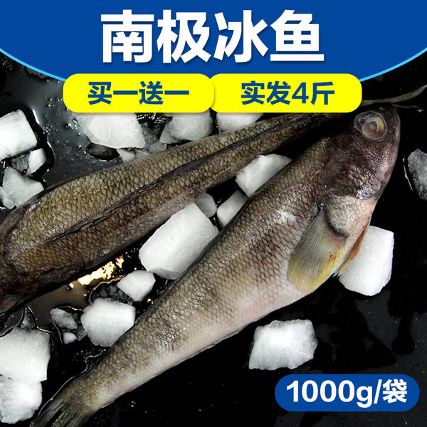 大渔场 野生南极冰鱼 4斤 双重优惠折后¥34.9包邮