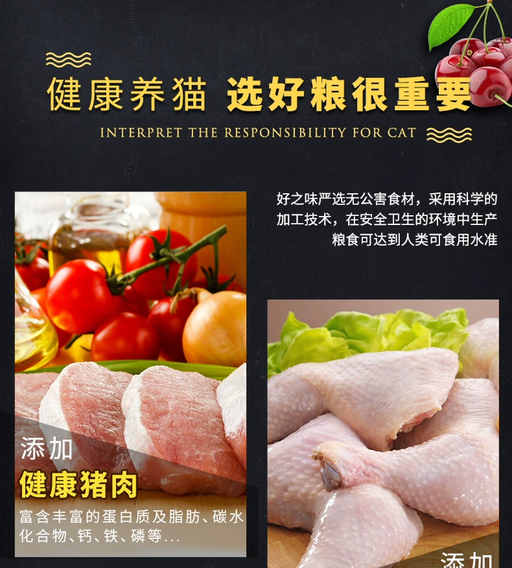 Thức ăn ngon cho mèo 5 kg Cá hải sản Hương vị thức ăn cho mèo Thức ăn cho mèo 2,5kg Thức ăn cho mèo Nori - Cat Staples