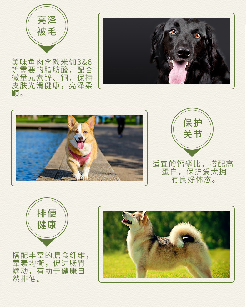 Thức ăn ngon cho chó Thức ăn cho chó có hương vị thịt bò Norre thức ăn ngon 10kg Teddy phổ quát 20 kg - Chó Staples thức ăn chó