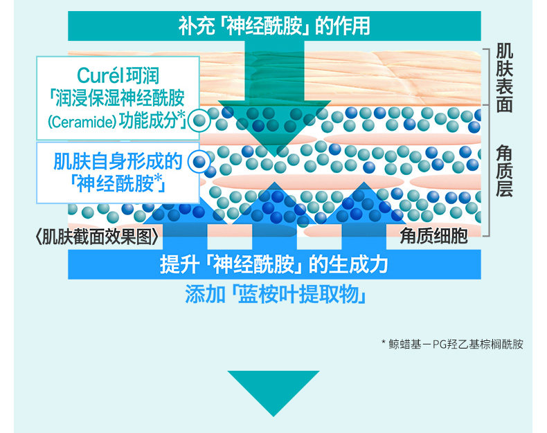 日本花王 珂润 Curel 保湿面霜 40g 敏感肌可用 图3