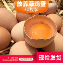 Farmers self-raised grass eggs free-range soil eggs fresh firewood eggs Stupid Eggs 30 pieces of ginkgo forest