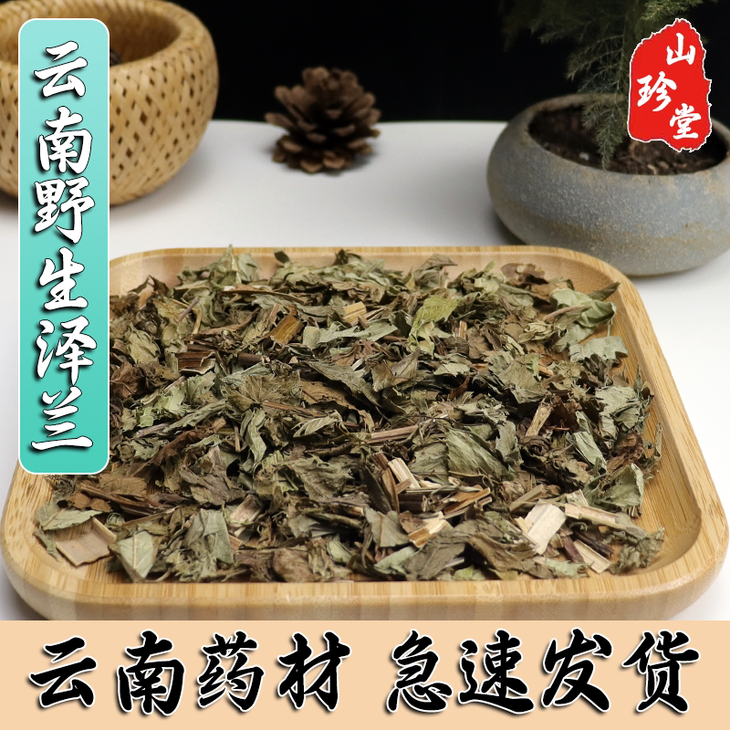 丝叶泽兰适合什么样的花园庭院?2026年流行趋势大揭秘-草坪-淘宝百科网