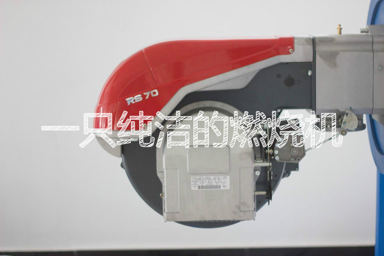 RIELLO gas burner RS250RS250 M proportional adjustable liquefied gas burner