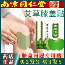 Nanjing Tongrentang mugwort ginger knee pain paste mugwort moxibustion paste synovial pain joint pain old cold leg paste