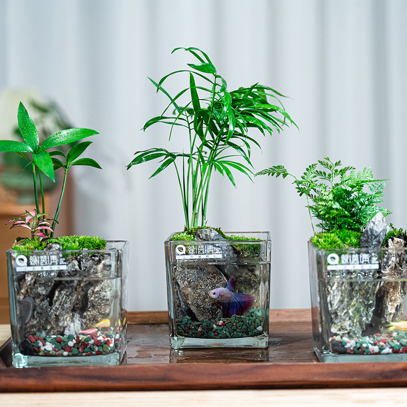 绿茵青植物工厂店的LOGO