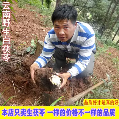 Yunnan Ailao Mountain Wild Poria Cocos Fragment Fragment Farmers Sinced Dry White Poria Cocos No Sulfur-free Grade