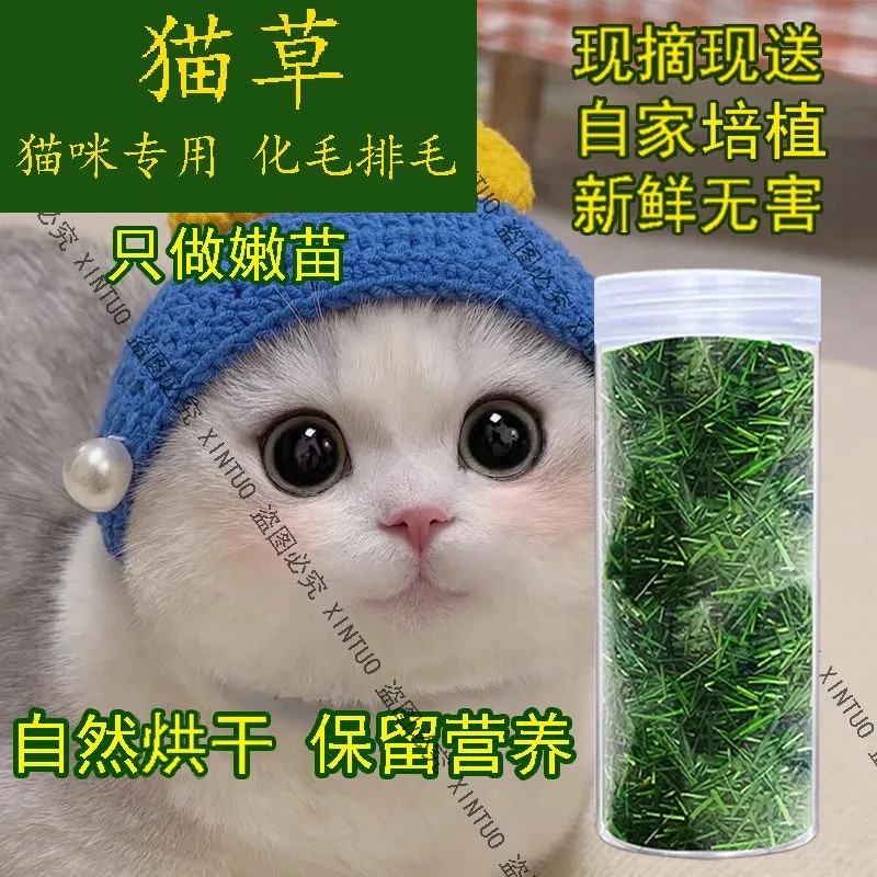 宠物新鲜猫草企业店