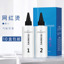 Cold Scalding Potion Hairdrescher Special Curly Hair Styling Electric Hair Styling Cold Bronzed and Scalding Hot and Aromatic Hot Hair