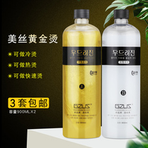 Hair Salon Special Paste Cold Scalding Hot Gold Bronzed Hair Salty Hair Shop Ceramic Digital Bronzing Quick Scalding Wholesale