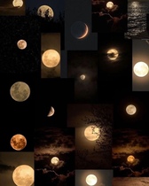 POEM OF LIFE Monthly New and Full Moon Events Special Photos for VIP Members