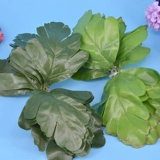 Активность-2 листовые листья зеленые чулки