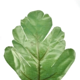 Активность-2 листовые листья зеленые чулки