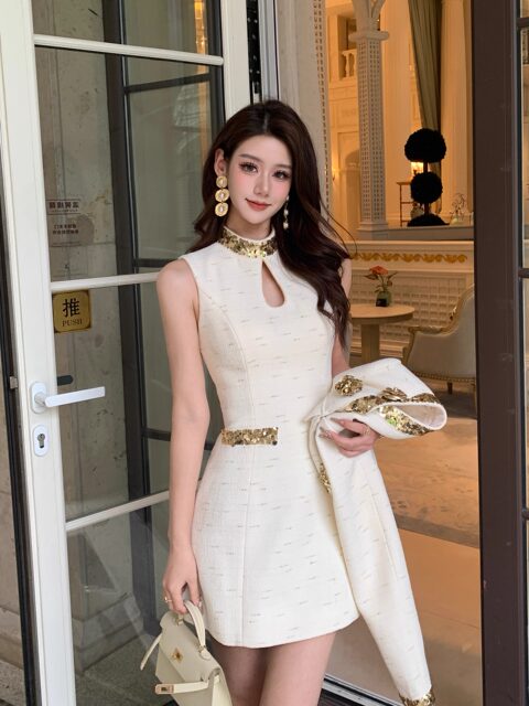Hollin Rich Girl Style Dress Set for Women, Spring and Autumn 2025 New Model, Light Luxury and High-End Two-Piece Set
