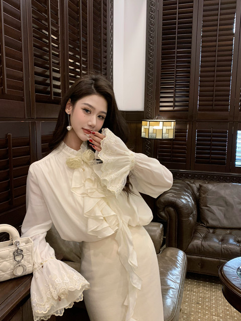 Hollin French-Style Long-Sleeved Shirt for Women, Spring and Autumn 2025 New Elegant and Sophisticated Design Shirt Top