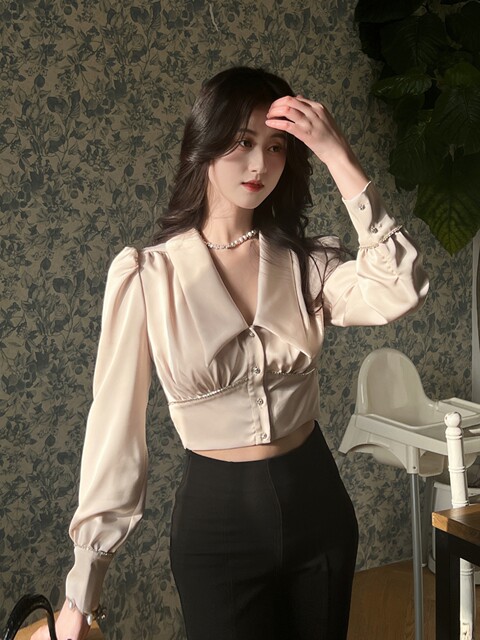 Hollin Long-Sleeved Acetate Satin Shirt for Women Spring & Fall 2025 New Design Niche V Neck Short Shirt