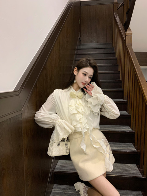 Hollin French-Style Long-Sleeved Shirt for Women, Spring and Autumn 2025 New Elegant and Sophisticated Design Shirt Top