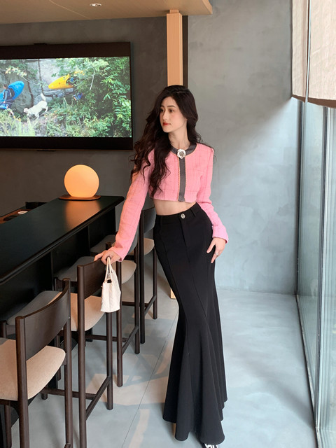 Hollinna Pink Short Jacket for Women, Spring and Autumn 2025 New Design, Niche Versatile Elegant Style Top