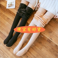 Cộng với quần legging nhung dày, phụ nữ mặc mùa thu và mùa đông, sợi dọc eo cao là quần thun co giãn mỏng thoi trang cong so