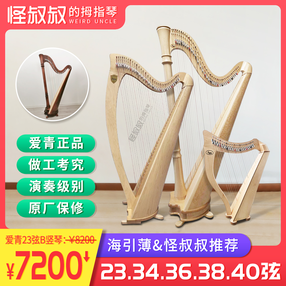 愛清琴 23弦 36弦 38弦 40弦 キー 半音 演奏 検査 プロフェッショナル 羊腸弦 アイルランド