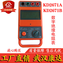 Kangda DMG KD2671 A D E F G digital insulation resistance meter MEGOHMMETER tester measurement