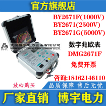 Boyu BY2671 F G digital MEGOHMMETER 500V 1000V 2500v 5000v electronic shake meter DMG