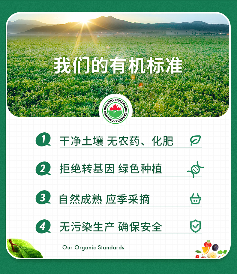 加拿大进口 SunRype 小星粒 18g*40袋 100%有机鲜果制成 图3