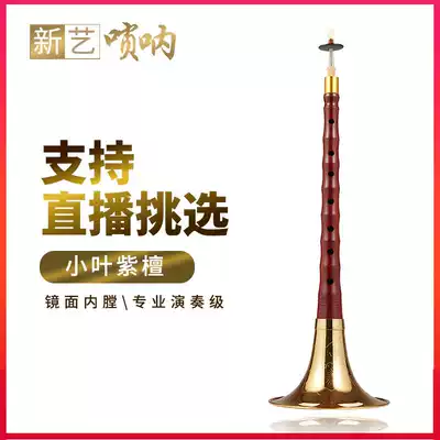 Xinyi Suona musical instrument beginners full set of Kodan small leaf red sandalwood suona ABCDEFG tune factory direct sales speaker