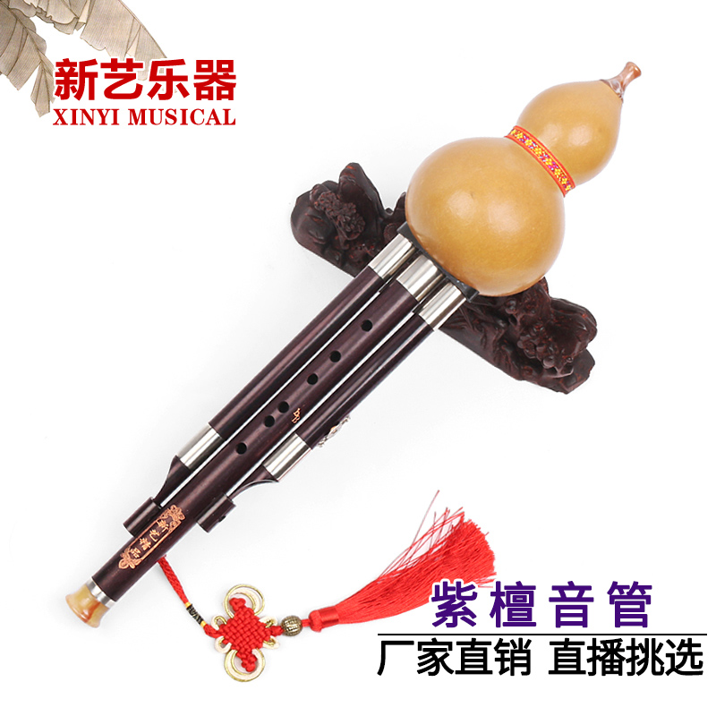 New Art Natural Gourd Purple Sandalwood Soundpipe Hulusi Instrument Professional Playing Type C Cut B Tune FG To Tune Adult Children